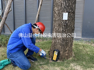 合水厂区树木白蚁防治工程