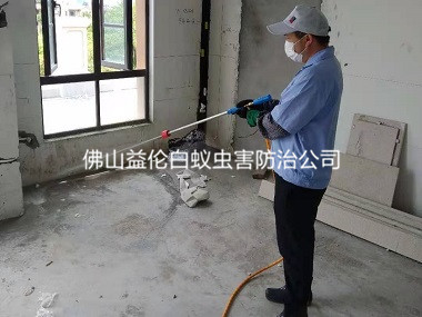 杨梅镇房屋装修预防白蚁
