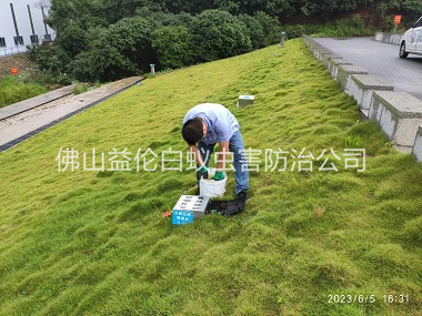 荷城水利堤坝鼠害防控工程