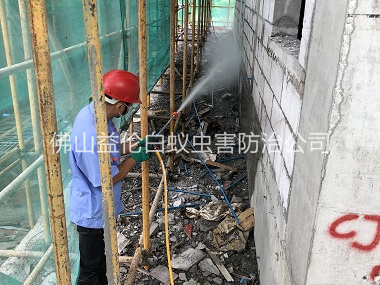 新圩建筑白蚁预防工程