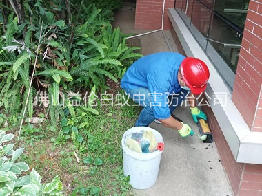 富湾施药灭鼠工程