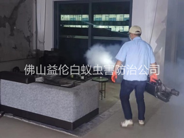 杨和室内灭蚊虫工程
