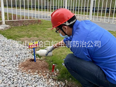 荷城红火蚁防治工程