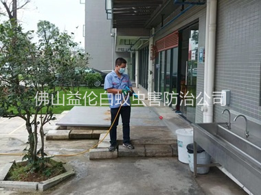 富湾外环境消杀四害工程
